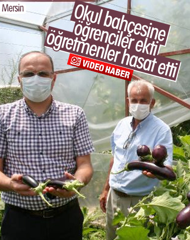 Mersin'de okul bahçesinde organik tarım yapıldı