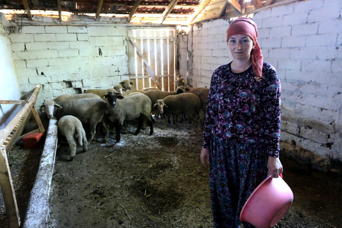 4 dil bilen Rus kadın Bursa'da çiftçilik hayalini yaşıyor #5