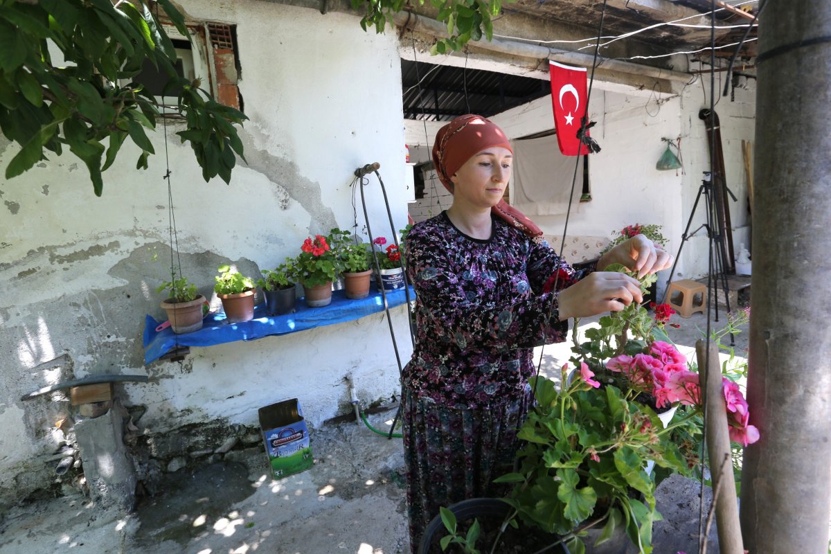 4 dil bilen Rus kadın Bursa'da çiftçilik hayalini yaşıyor #3