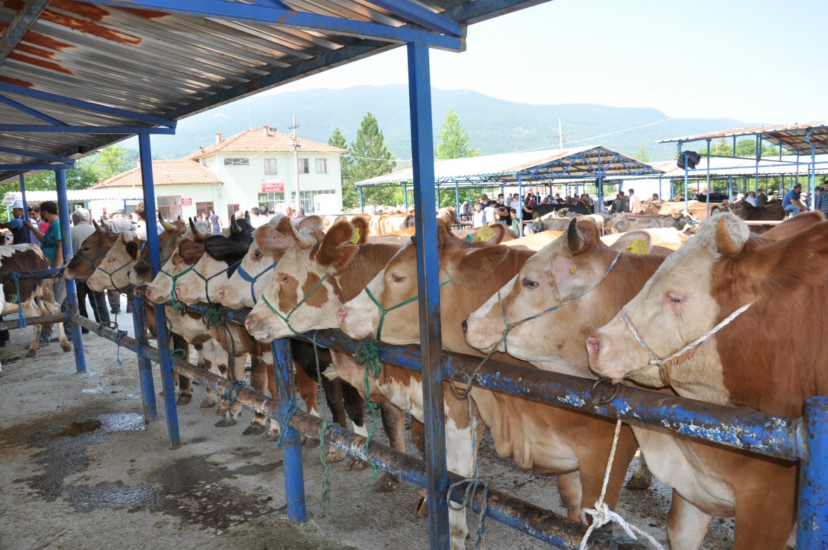 kutahya da kurban pazarinda hareketli anlar yasandi