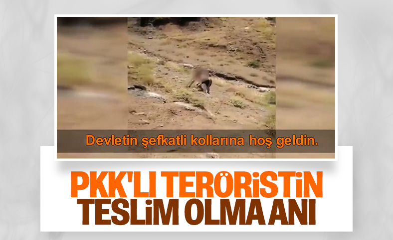 Hakkari'de bir terörist teslim oldu