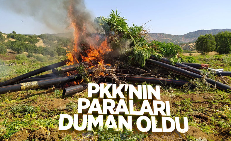 Diyarbakır'da terör örgütüne ağır darbe: 1 ton esrar