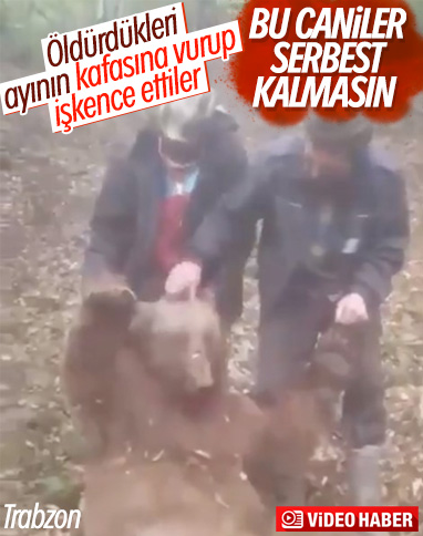Trabzon’da öldürdükleri ayıya işkence ettiler 