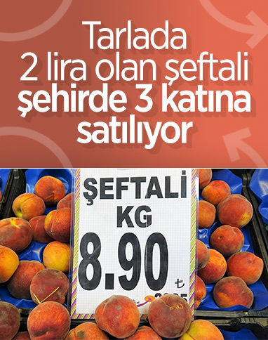 Şeftali, tarlada 2 markette 8 lira 
