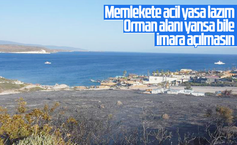 İzmir'deki orman yangınında zarar gören alan soğutuluyor