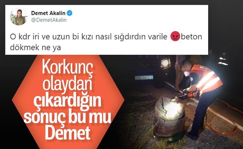 Demet Akalın'ın Pınar Gültekin tweet'i