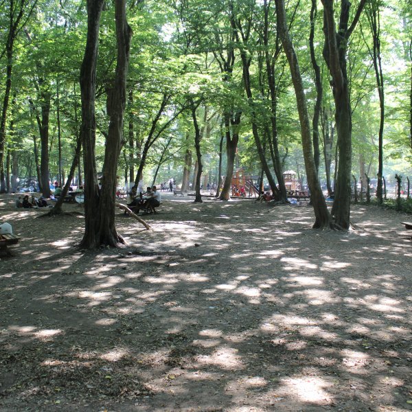 Belgrad Ormanı’nda bayram yoğunluğu