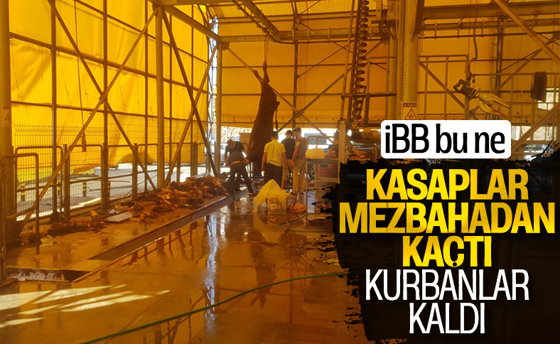 İBB kurban kesim alanında kasaplar kaçtı