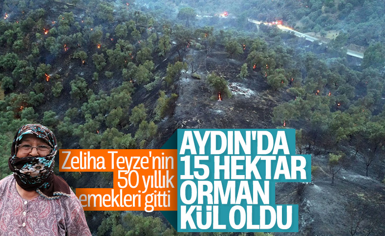 Aydın'da ağaçlık arazide yangın çıktı