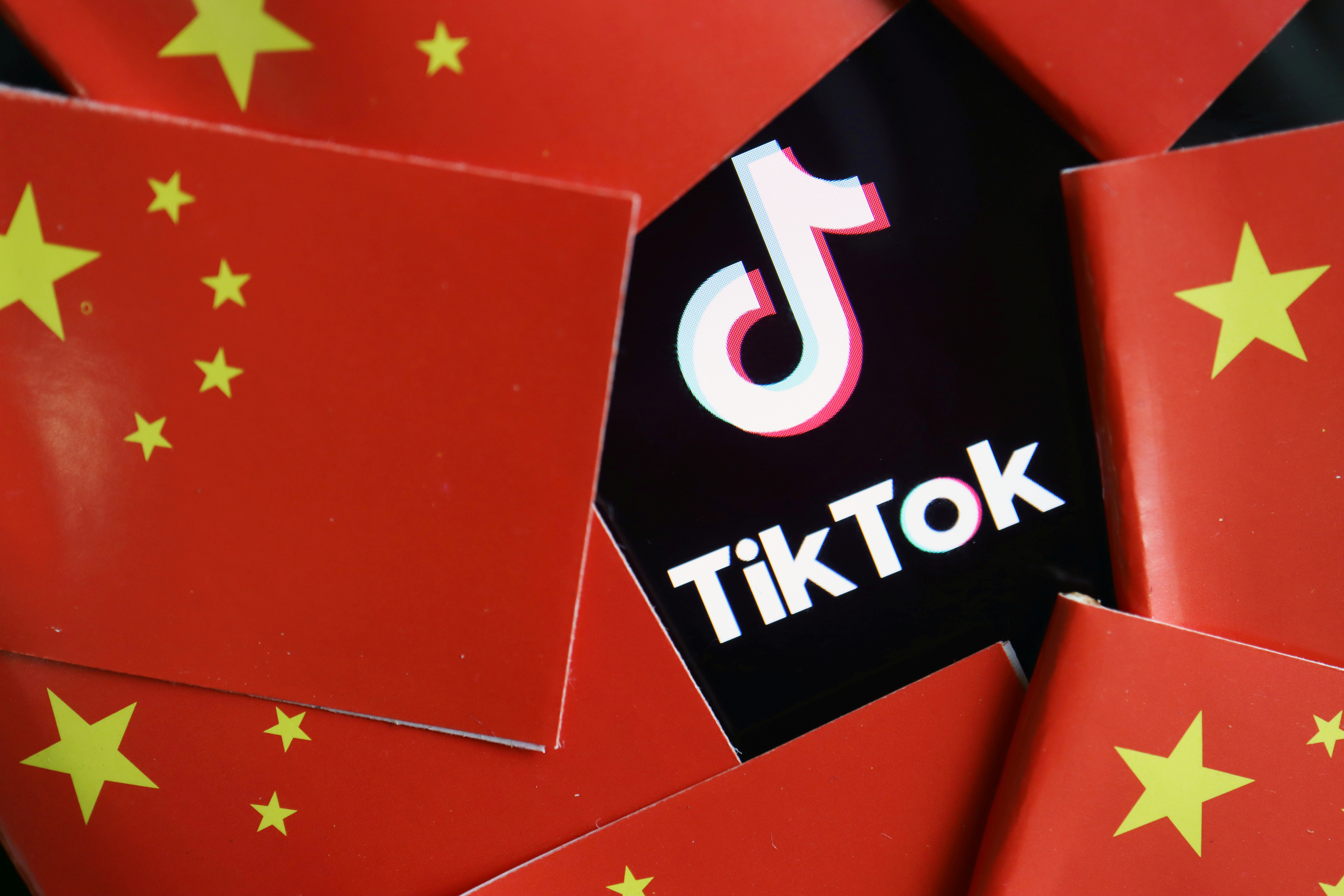 What is TikTok #1