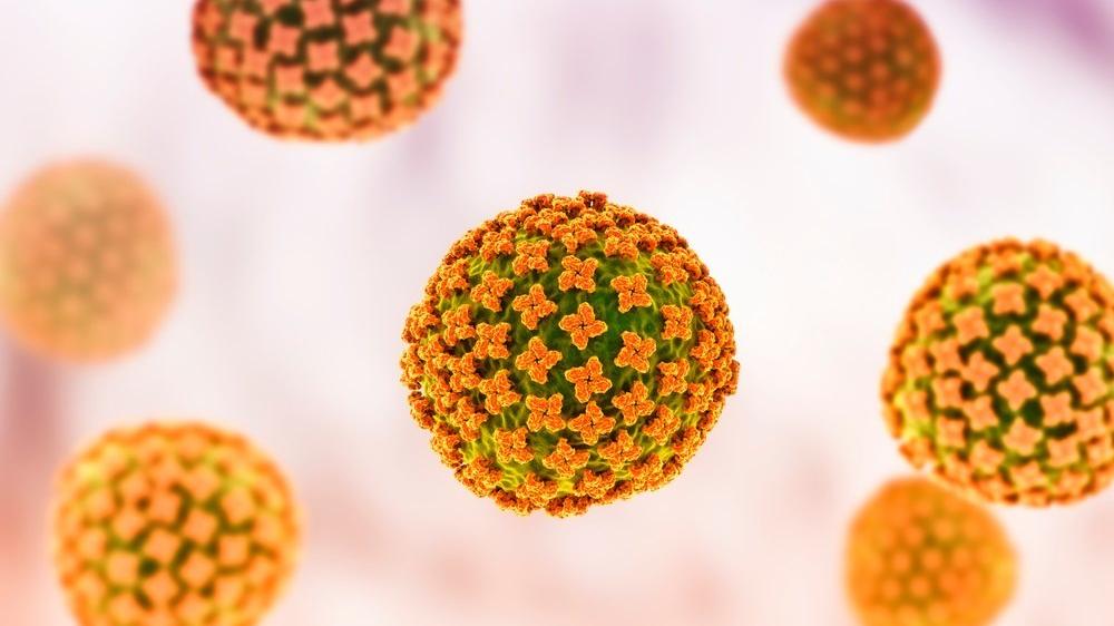 What is bunyavirus #1