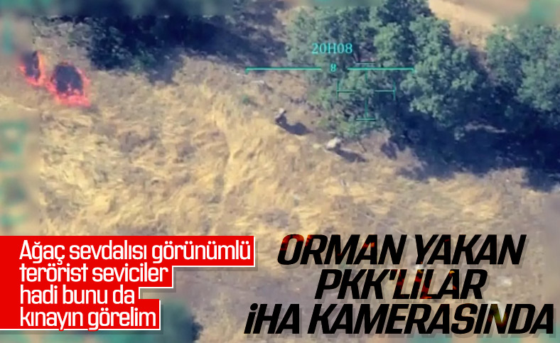 Ormanları ateşe veren PKK'lı teröristler kamerada