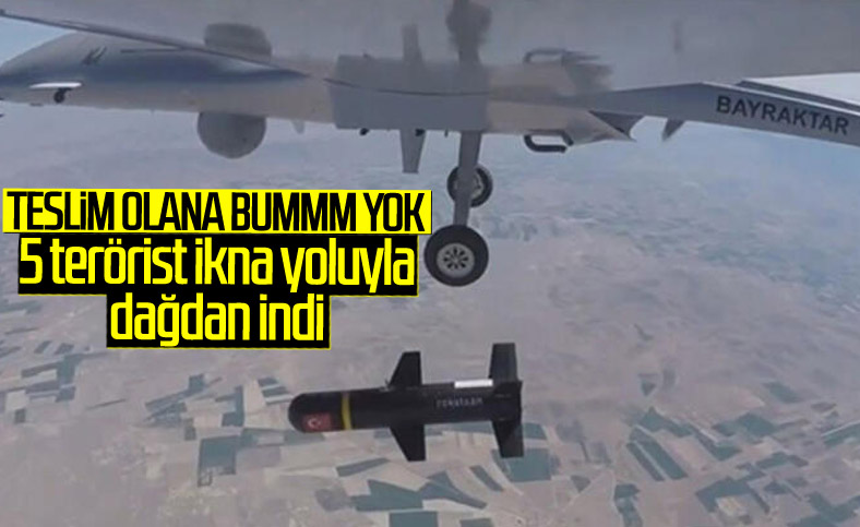 İçişleri Bakanlığı: Şırnak'ta 5 terörist teslim oldu
