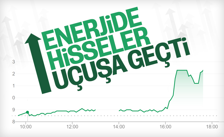 Erdoğan'ın 'müjde' demesi TÜPRAŞ ve PETKİM'in hisselerini uçurdu