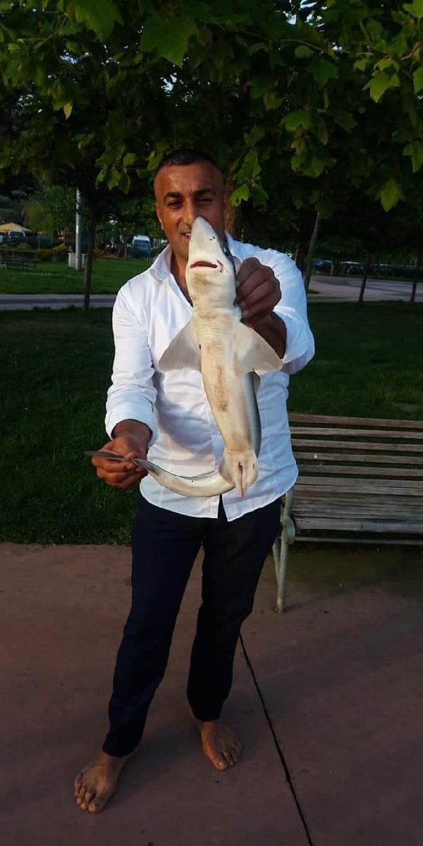 Kocaeli�de balığa çıkan adam 2 köpek balığı yakaladı