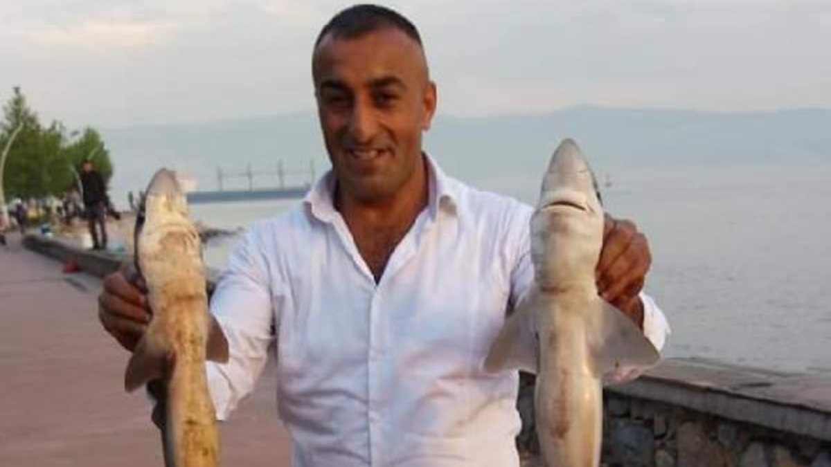 Kocaeli�de balığa çıkan adam 2 köpek balığı yakaladı