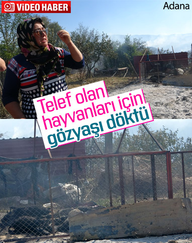 Adana'da Hatice Teyze, yangında can veren hayvanları için ağladı