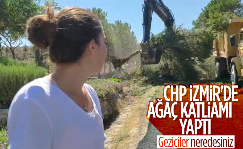 İzmir'de CHP'li belediyenin ağaç katliamı genç kızı gözyaşlarına boğdu