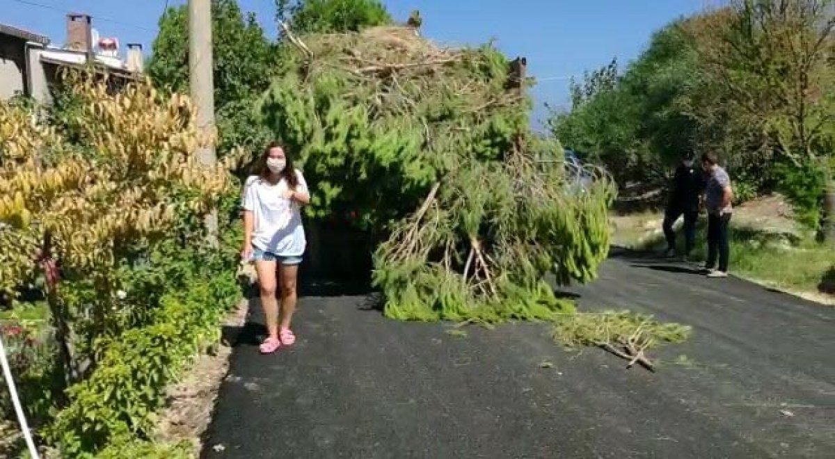 CHP Township Izmir Tree Massacre Drowned Young Girl In Tears # 5