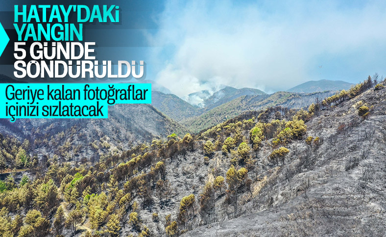 Hatay Da 5 Gundur Suren Orman Yangini Kontrol Altina Alindi