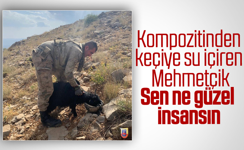 Jandarma Genel Komutanlığı'ndan keçiye su içiren asker paylaşımı