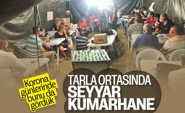 Kırıkkale'de tarlanın ortasına çadır kurup kumar oynadılar