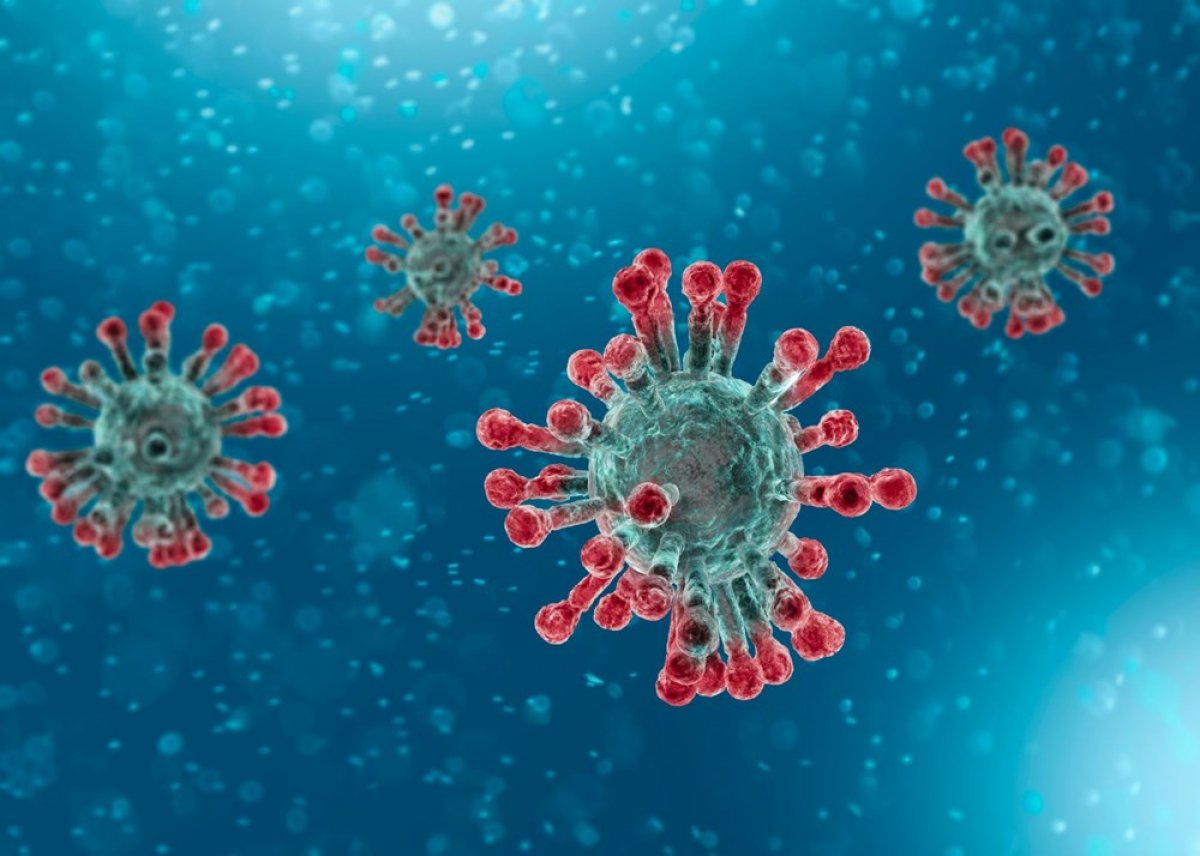Koronavirüsün mutasyona uğrama hızının düştüğü iddia edildi #1