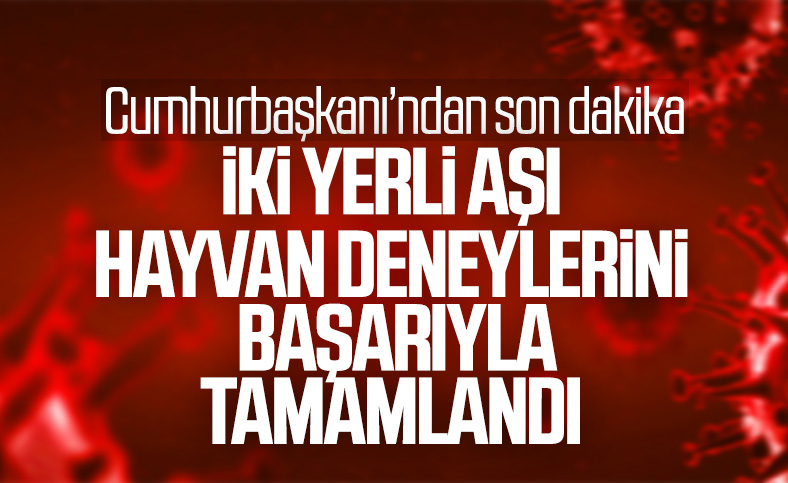 Cumhurbaşkanı Erdoğan: Koronavirüs yeniden artışa geçti