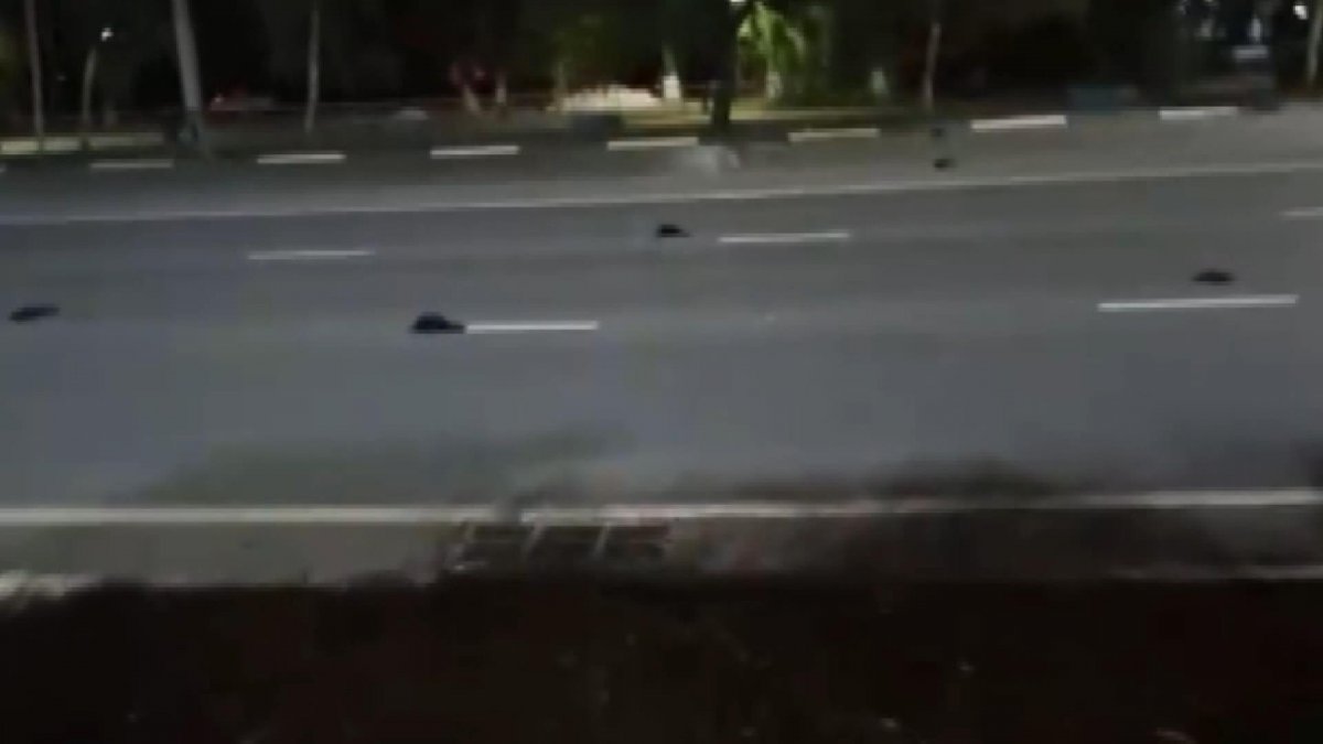 Rusya sokakları ölü kargayla doldu