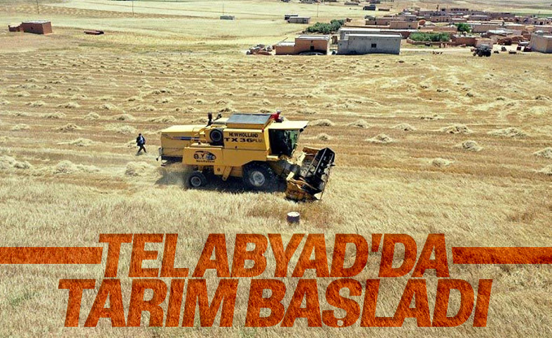 Teröristlerden temizlenen Tel Abyad'da ticaret başladı