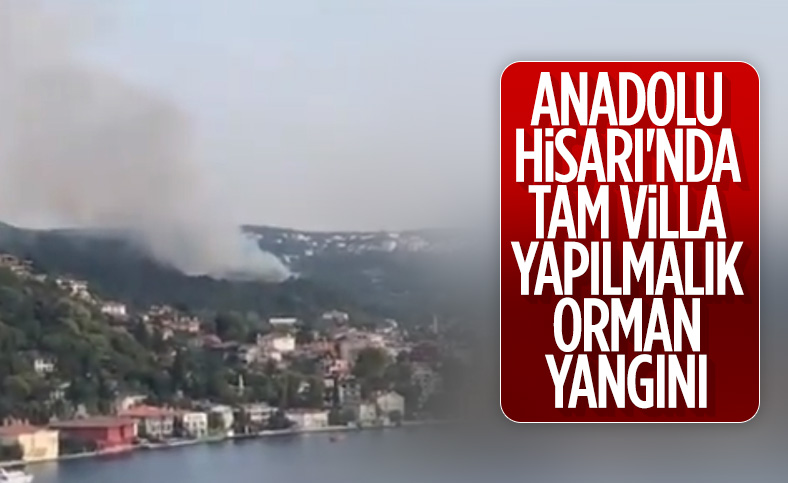 Anadolu Hisarı’nda orman yangını