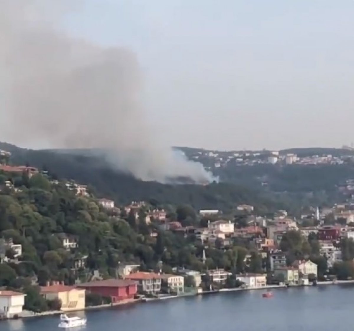 Anadolu Hisarı'nda orman yangını