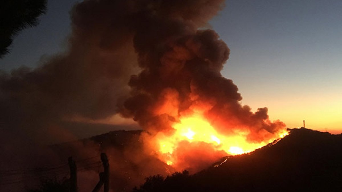 Aydın ve İzmir’deki orman yangınları kontrol altına alındı 