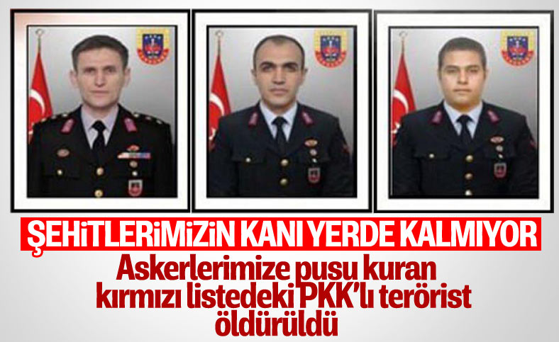 Bakan Süleyman Soylu duyurdu: Kırmızı kategoride aranan terörist etkisiz hale getirildi