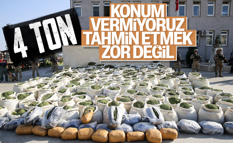 Diyarbakır'da 236 bin 500 kök kenevir ele geçirildi