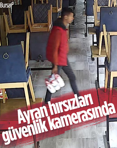 Bursa'da ayran çalan hırsızlar güvenlik kamerasına yakalandı