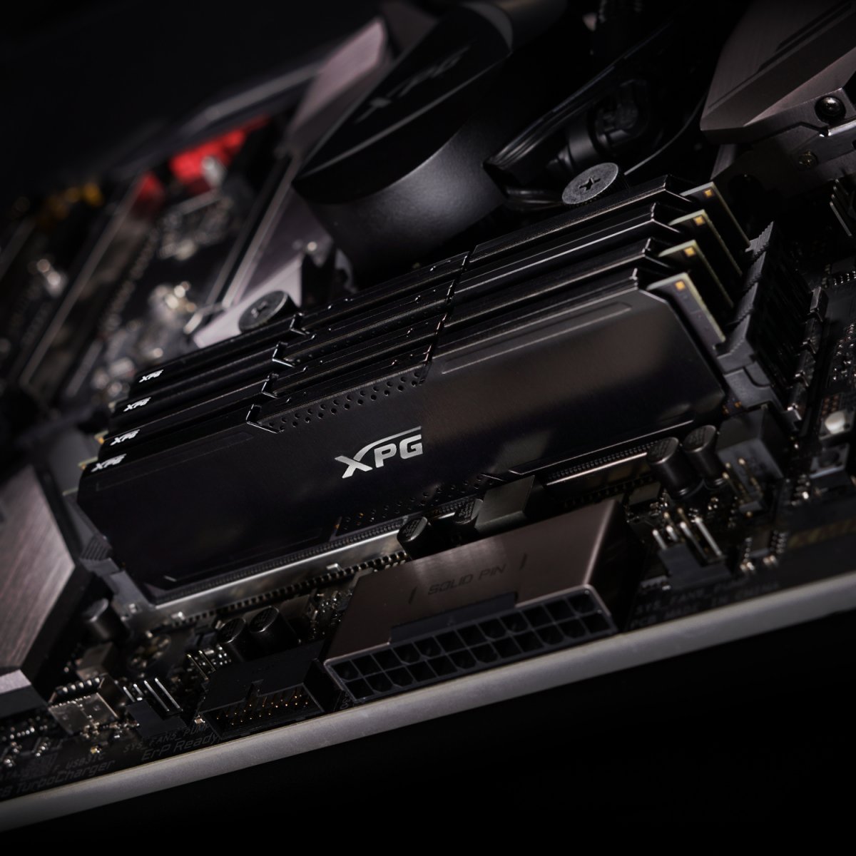 xpg