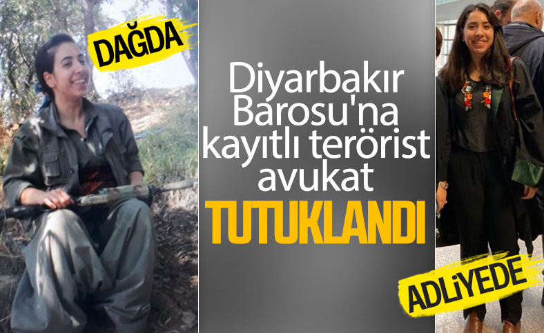 Öldürülen teröristin sağ kolu olan avukat tutuklandı