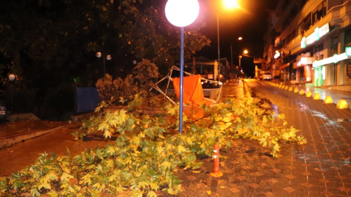 Zonguldak'ta yağmur ve şiddetli rüzgar: Ağaçlar devrildi, iş yerlerini su bastı