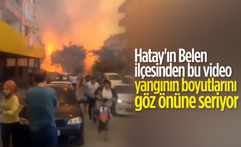 Hatay'da orman yangını, yerleşim yerlerine sıçradı