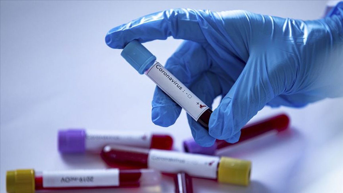 Oksitosin nedir? Ne işe yarar? Koronavirüs tedavisinde oksitosin kullanılabilir mi? #3