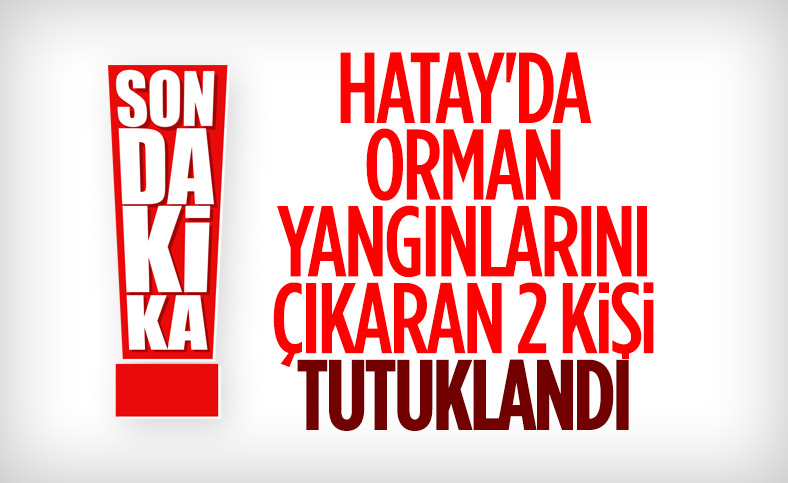 Hatay'daki yangına 2 tutuklama