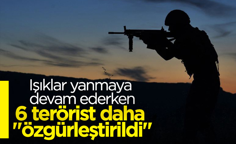 Ağrı'da 6 terörist etkisiz hale getirildi