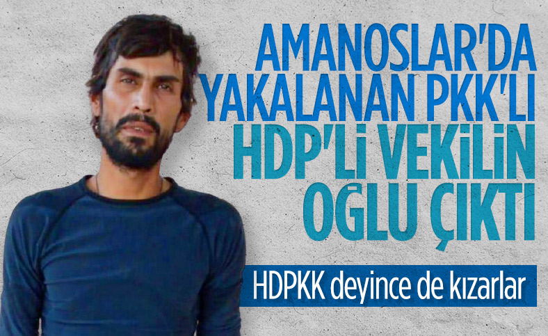 Eski HDP milletvekili Demir Çelik'in terörist oğlu sağ yakalandı