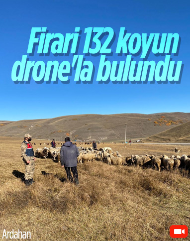 Ardahan'da kaybolan küçükbaş hayvanlar drone ile bulundu
