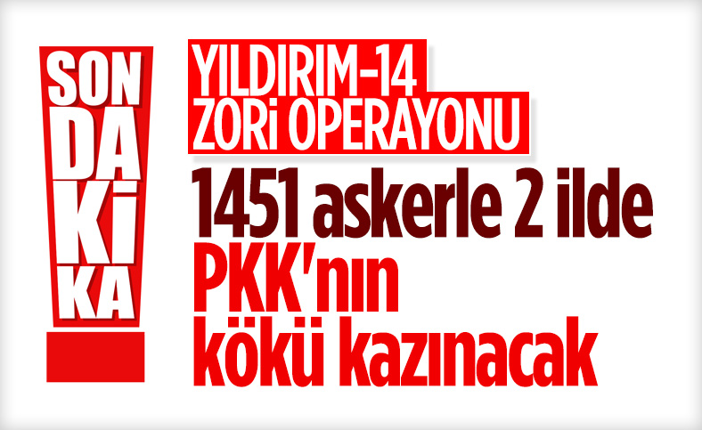 Diyarbakır ve Batman'da 'Yıldırım-14 Zori Operasyonu' başlatıldı