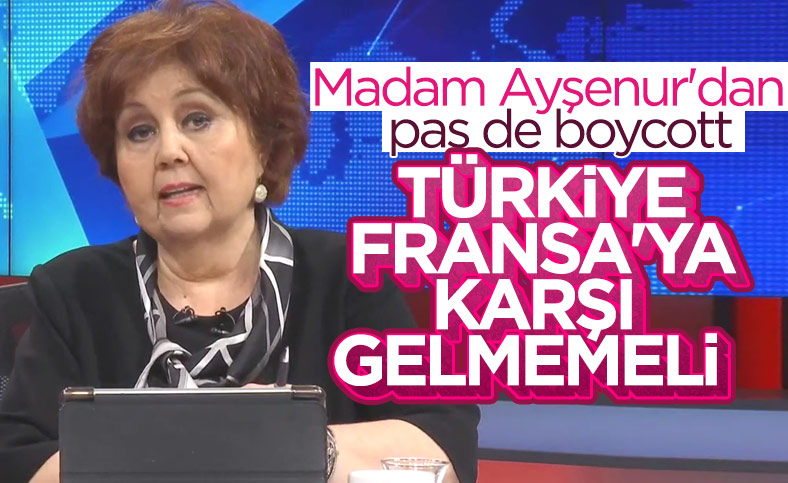 Ayşenur Arslan: Türkiye Fransa'ya ses çıkarmamalı
