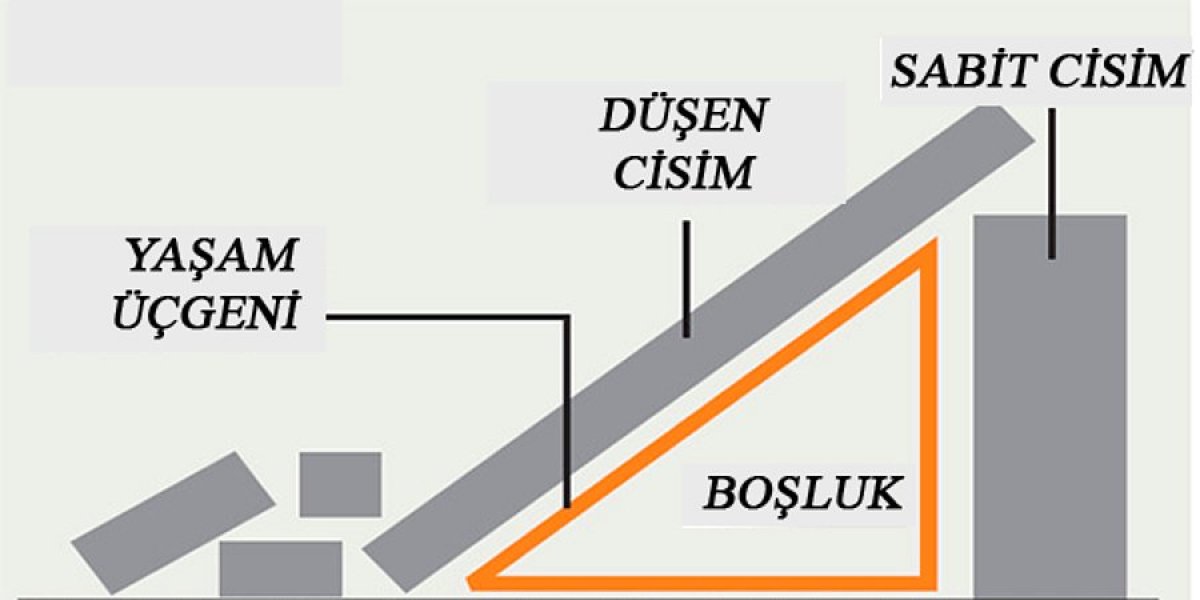 What is the life triangle ? Kimdeyir