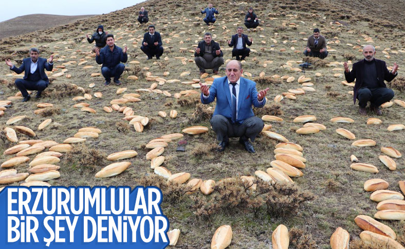 Erzurum'da doğaya yine 2001 ekmek bıraktılar