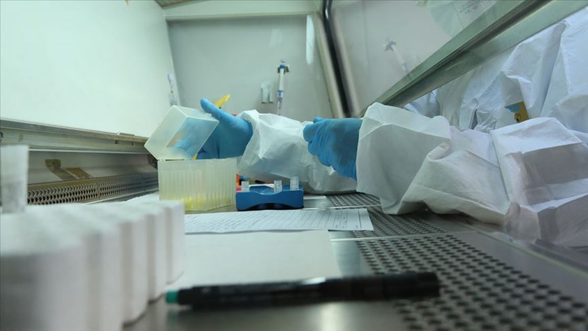   Sanctions on organizations applying different tariffs for PCR testing #1